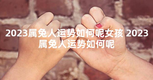 2023属兔人运势如何呢女孩 2023属兔人运势如何呢